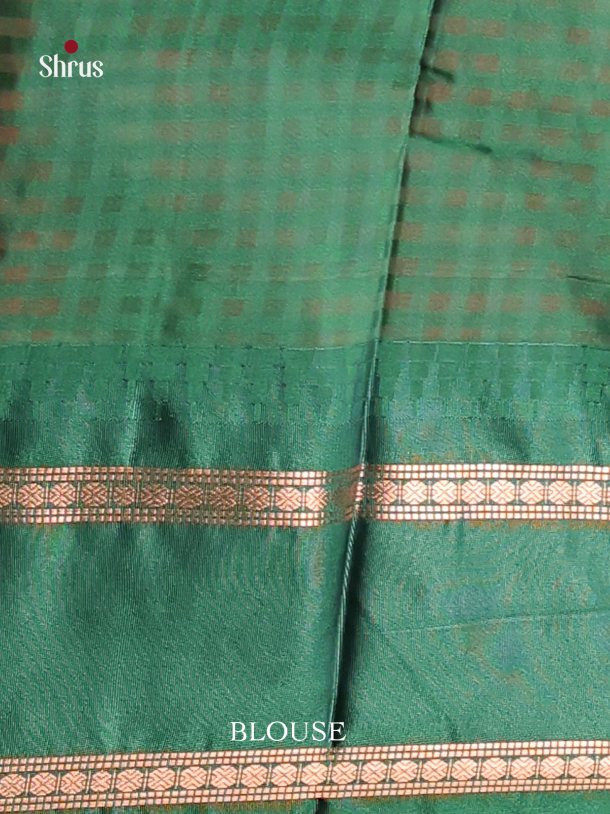 DHS02369-Semi Gadwal