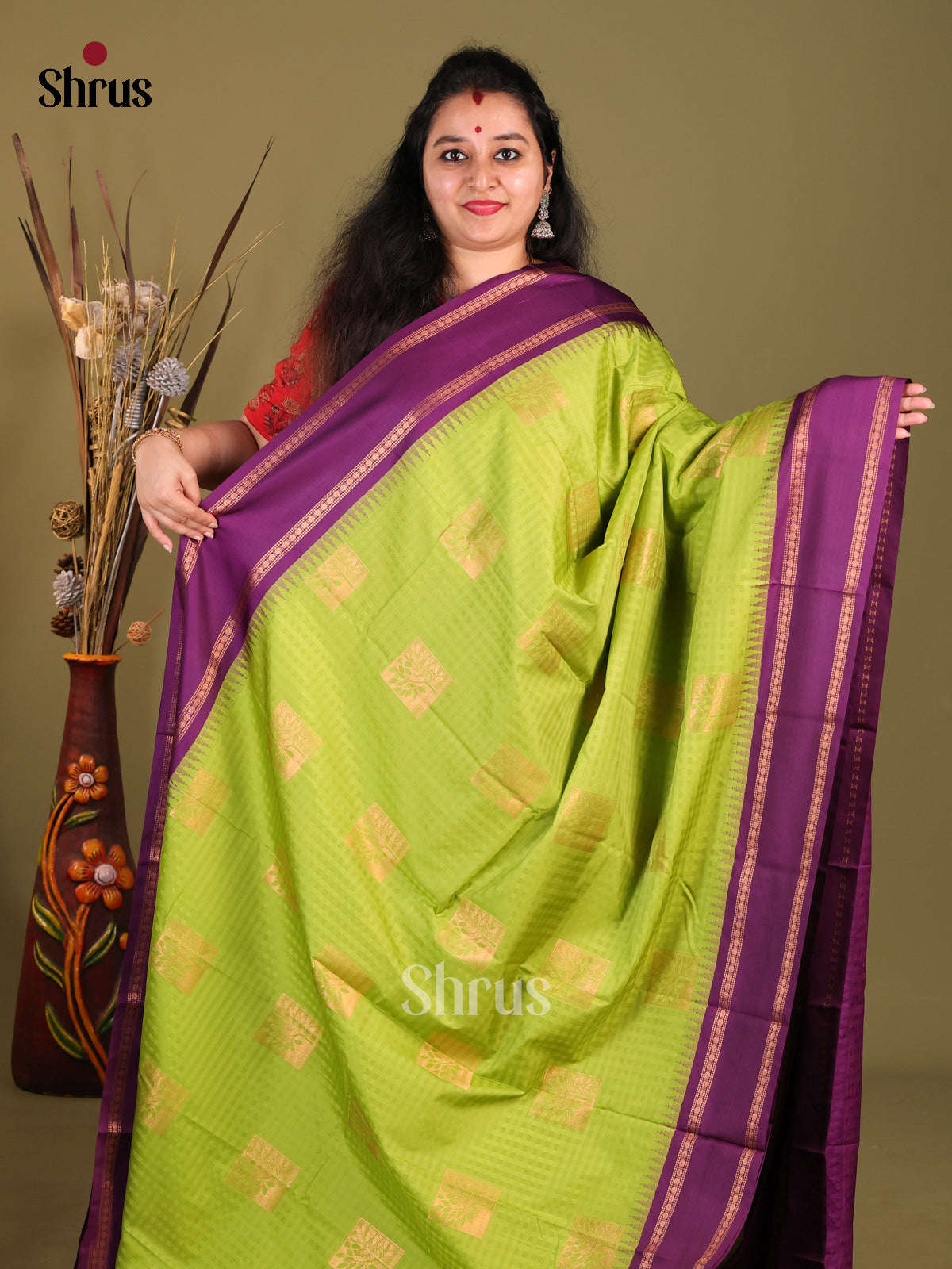DHS02373-Semi Gadwal - Shop on Shrus.com