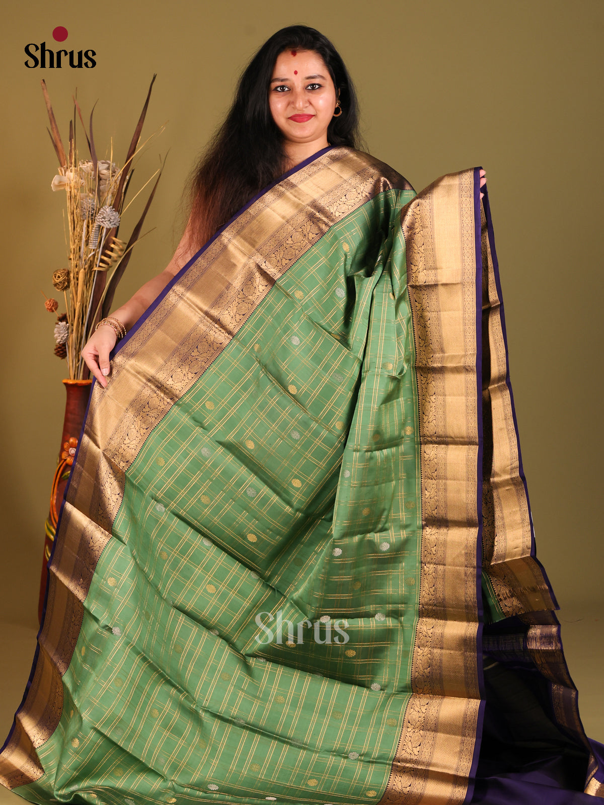 DHS04005 - Kanchipuram silk Saree - Shop on Shrus.com