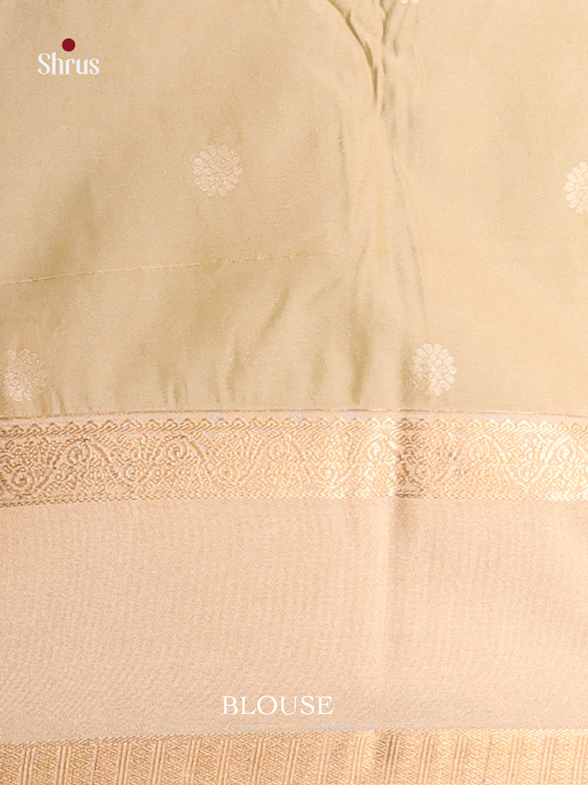 Pastel Green & Cream- Semi Kanchipuram Saree