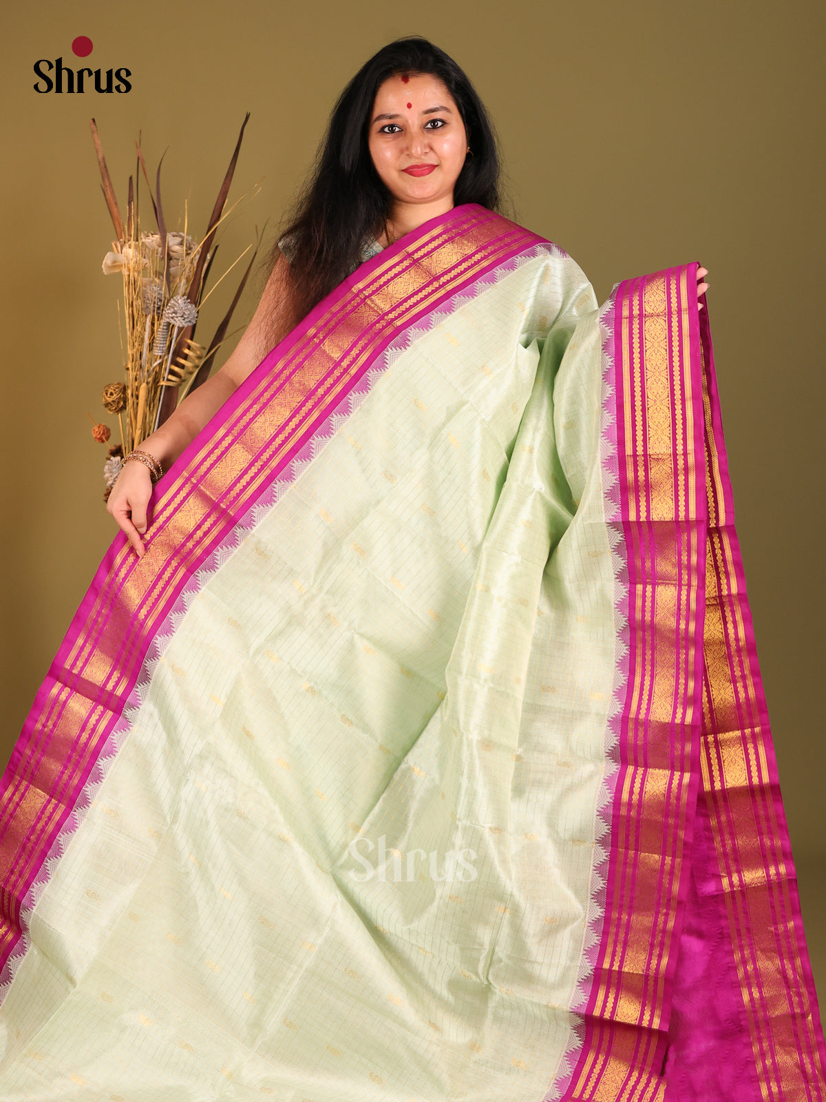 Pista Green & Pink Silk Cotton Korvai-kattams Saree - Shop on Shrus.com