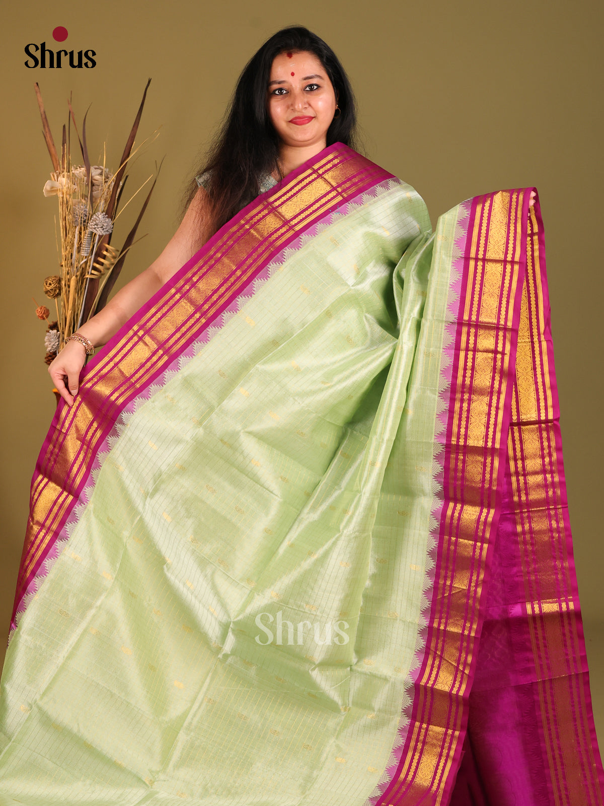 Pista Green & Majenta SilK Cotton Korvai-kattams Saree-1