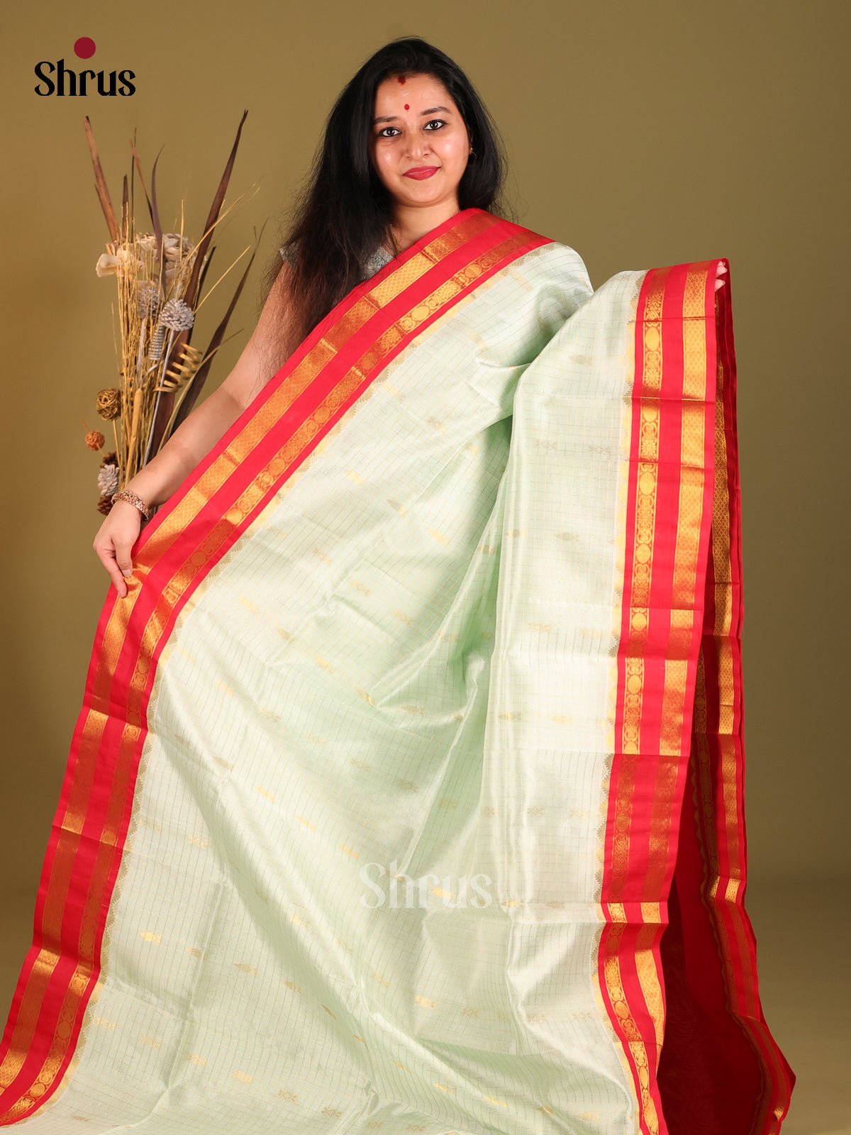 Mint Green & Red Silk Cotton Korvai-kattams Saree -1