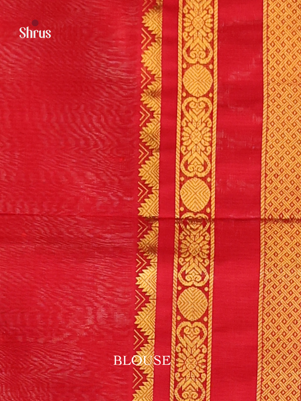 Mint Green & Red Silk Cotton Korvai-kattams Saree -2