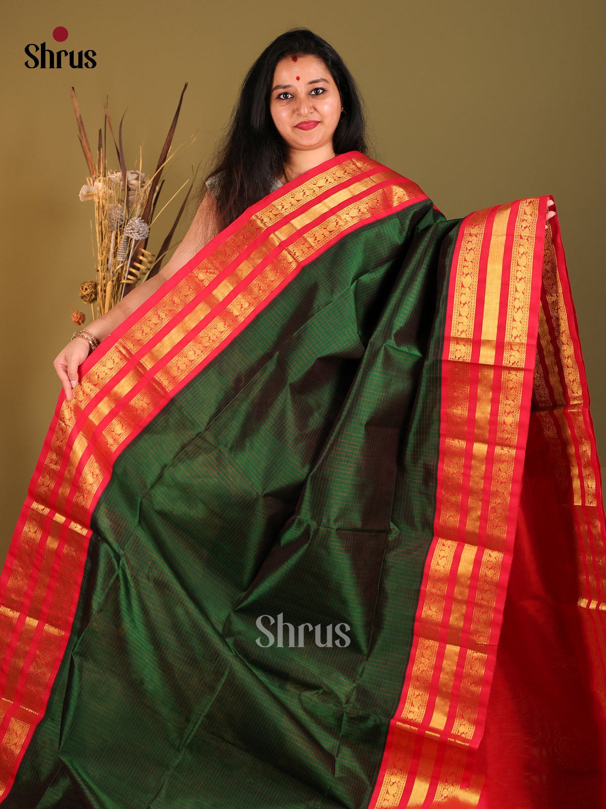 Green & Red Silk Cotton Korvai-kattams Saree - Shop on Shrus.com