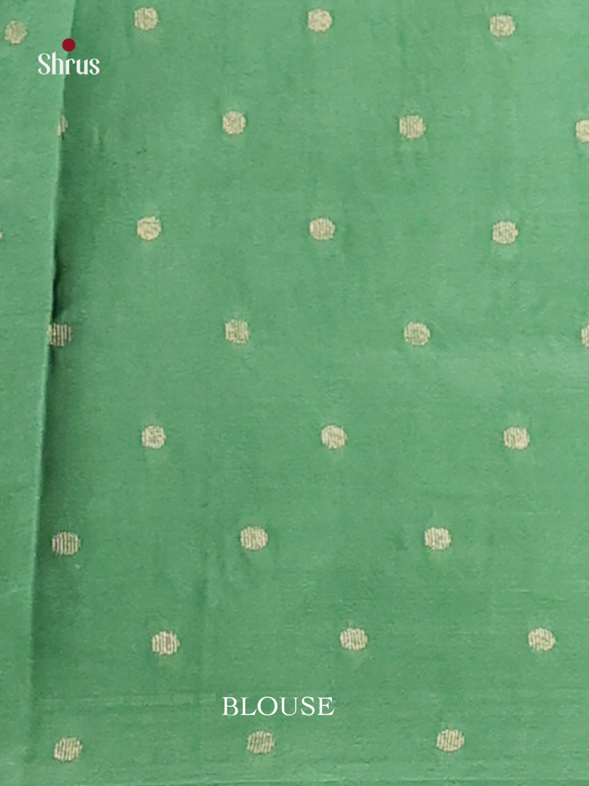 Pista Green- Semi Rawsilk Saree - Shop on Shrus.com