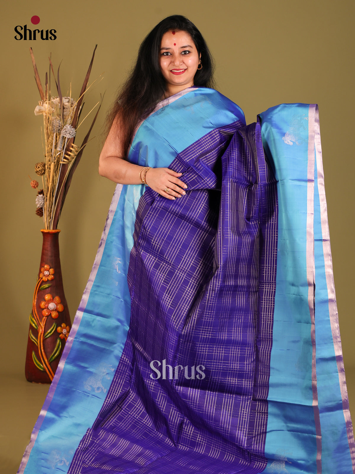 Glistening Navy Blue Soft Silk Saree with Zari checks & Blue Border With horse motifs -1