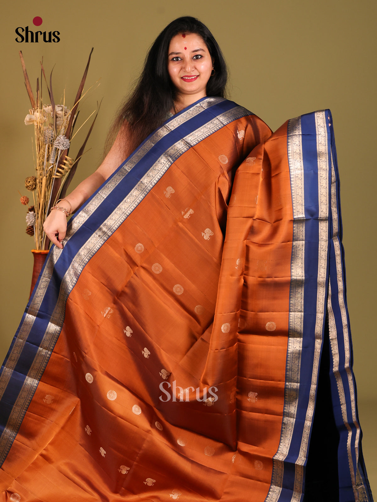 Rust & Blue Soft Silk Saree with contrast Zari border - Shop on Shrus.com
