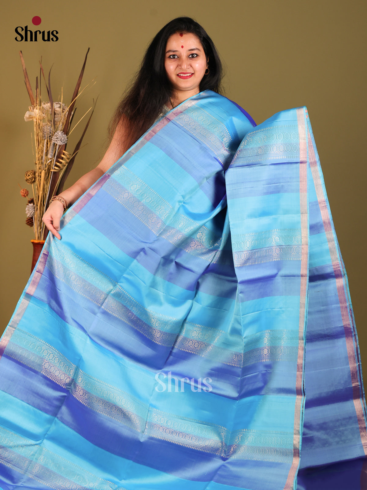 Pretty Shades of Blue Soft Silk Saree with zari Woven stripes & Self Zari Border -1
