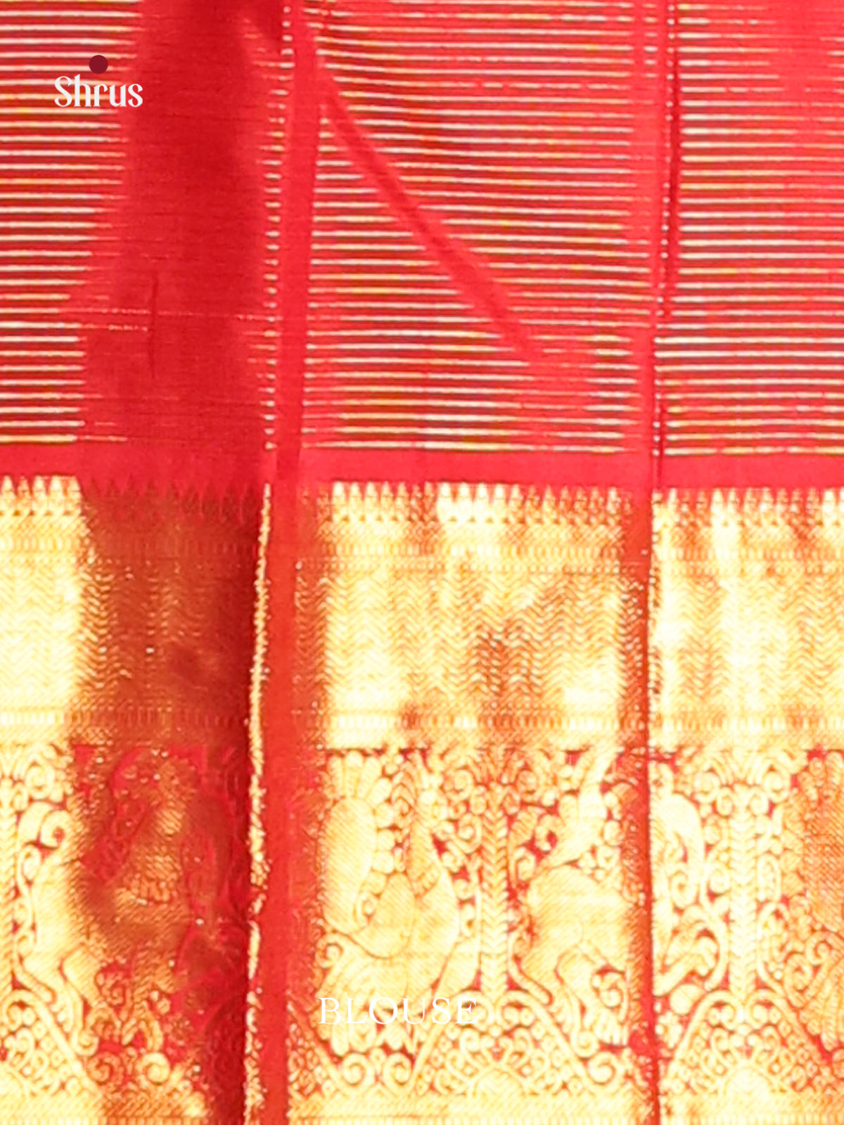 Radiant Korvai Yellow Kanchipuram Silk Saree with zari buttas & Red Brocade Pallu 2