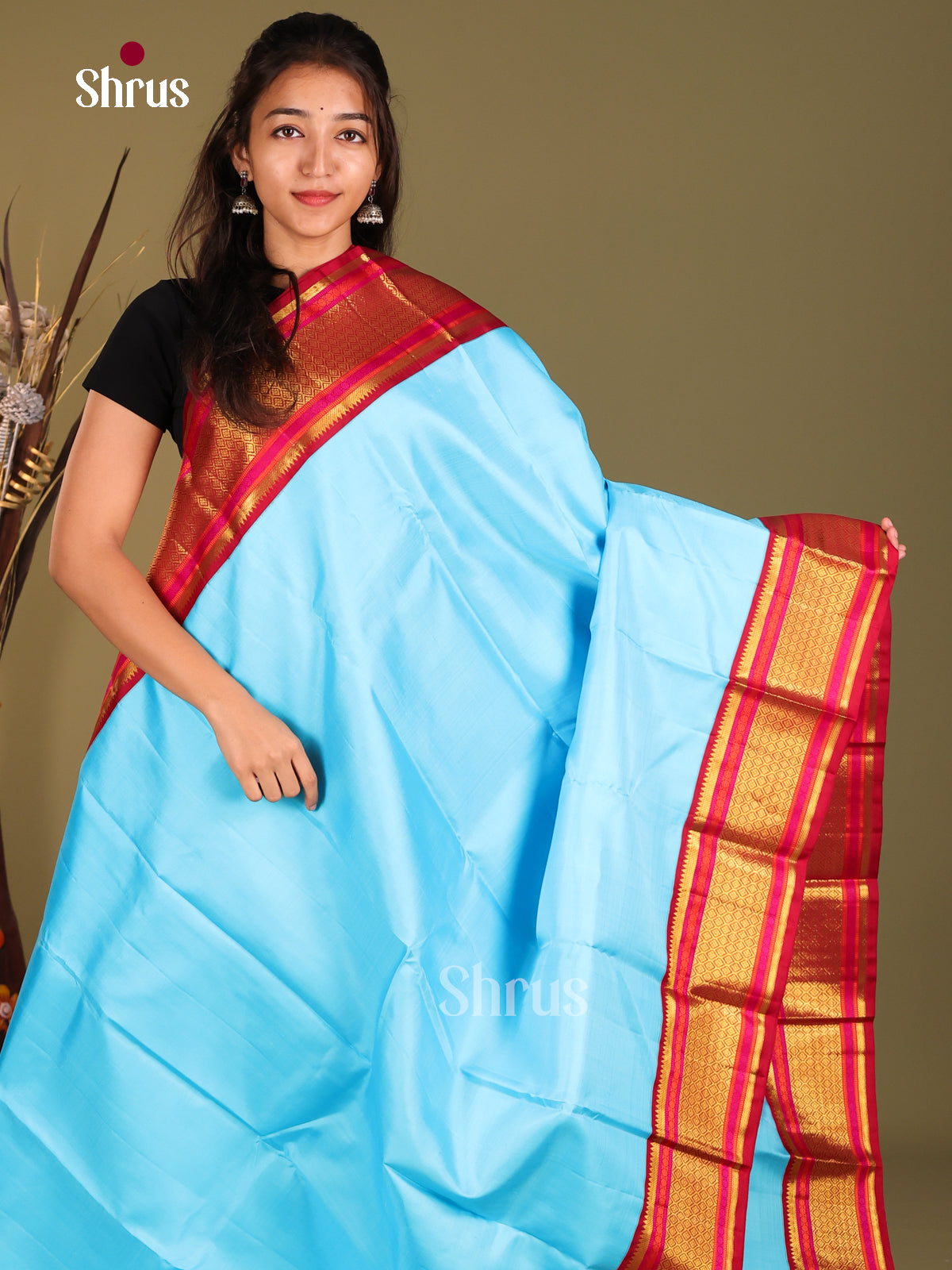 Elegant Light Blue Korvai Kanchipuram Silk Saree with Maroon Rettaipet zari border 1