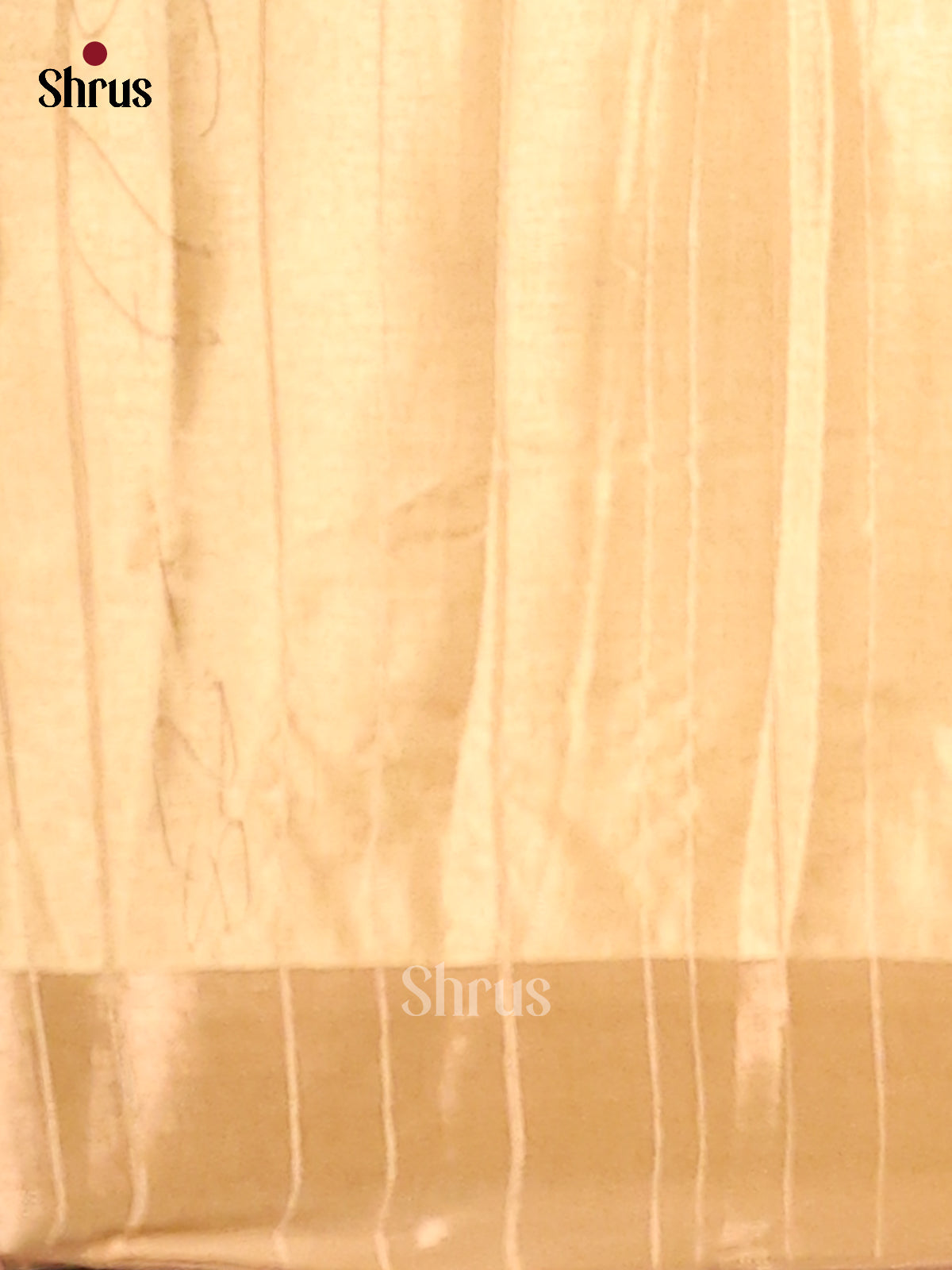 Cream & Ivory - Semi matka Saree