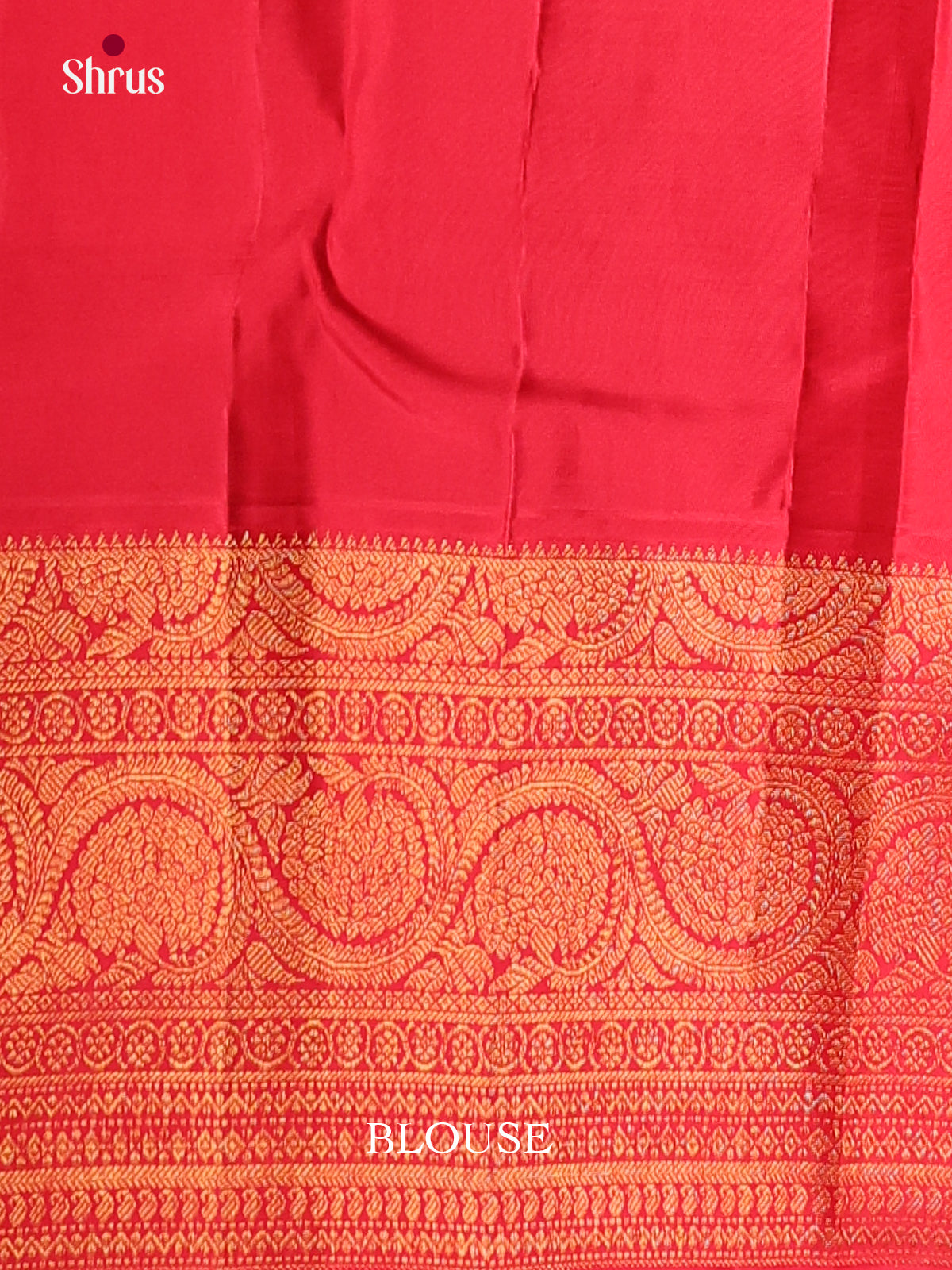 Opulent Cream Kanchipuram Silk Saree with rich traditional Brocade zari border - Shop on Shrus.com