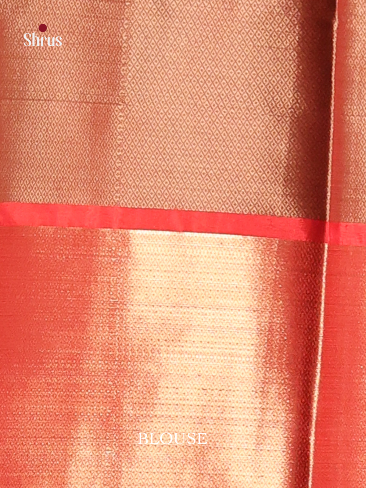 DHS11626 - Tanchoi Saree