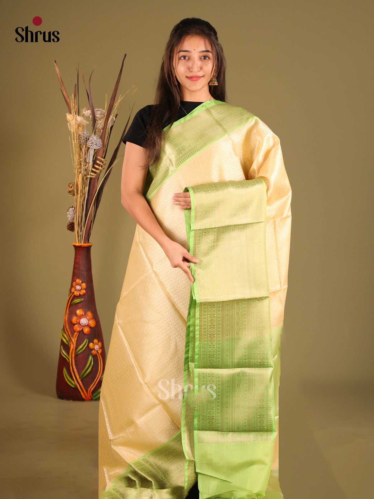 DHS11627 - Tanchoi Saree
