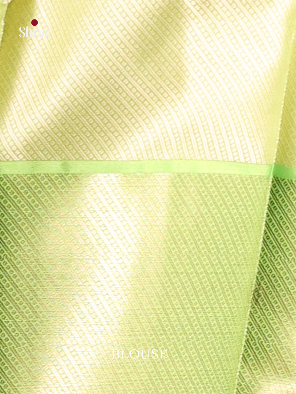 DHS11627 - Tanchoi Saree