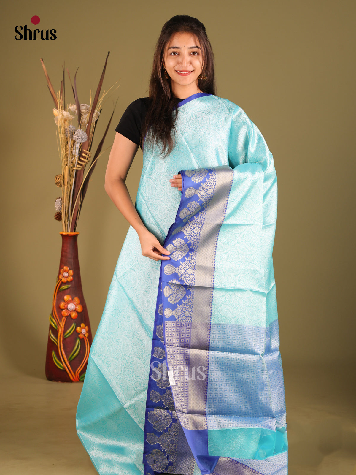 DHS11629 - Tanchoi Saree