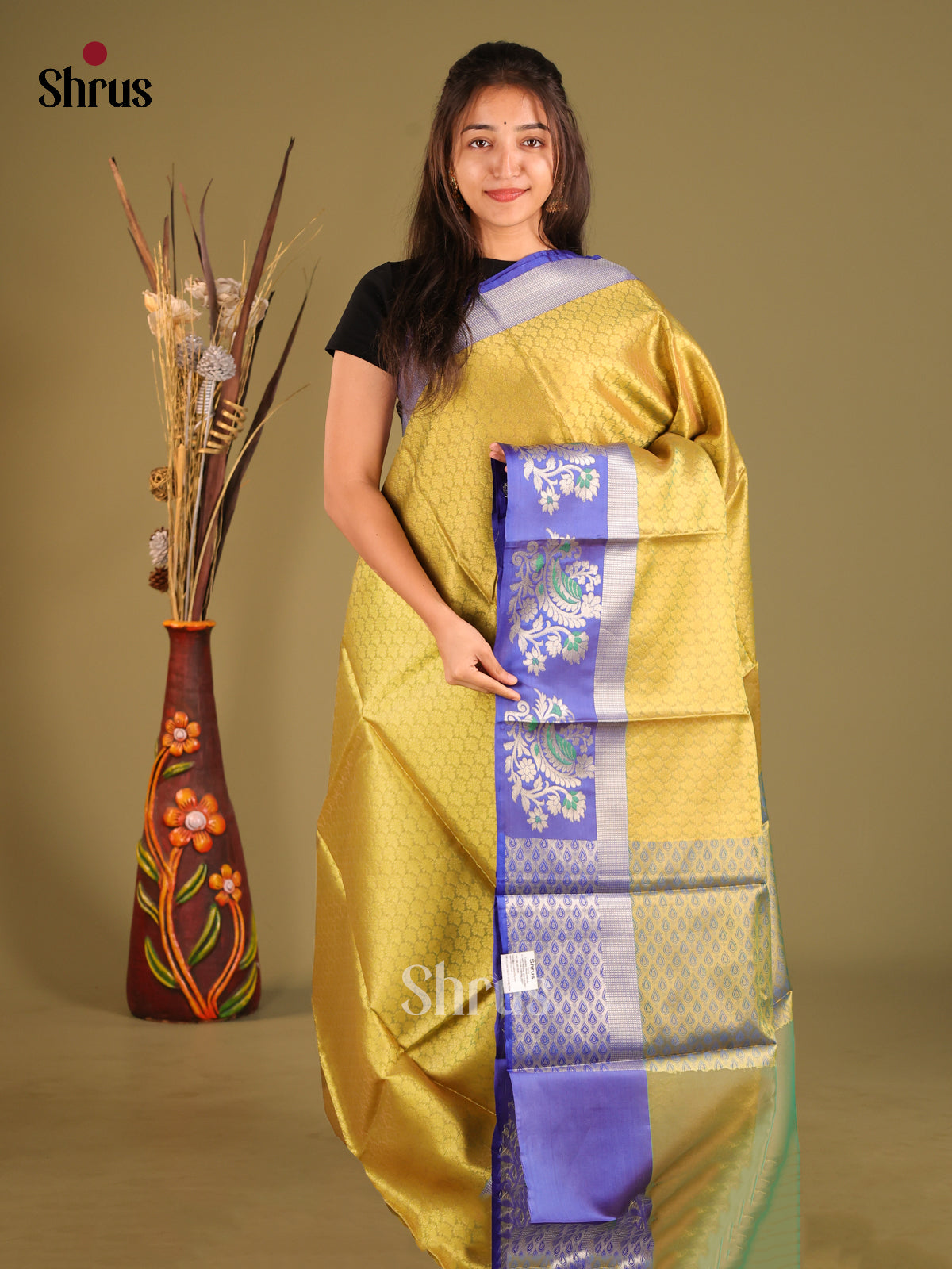 DHS11630 - Tanchoi Saree