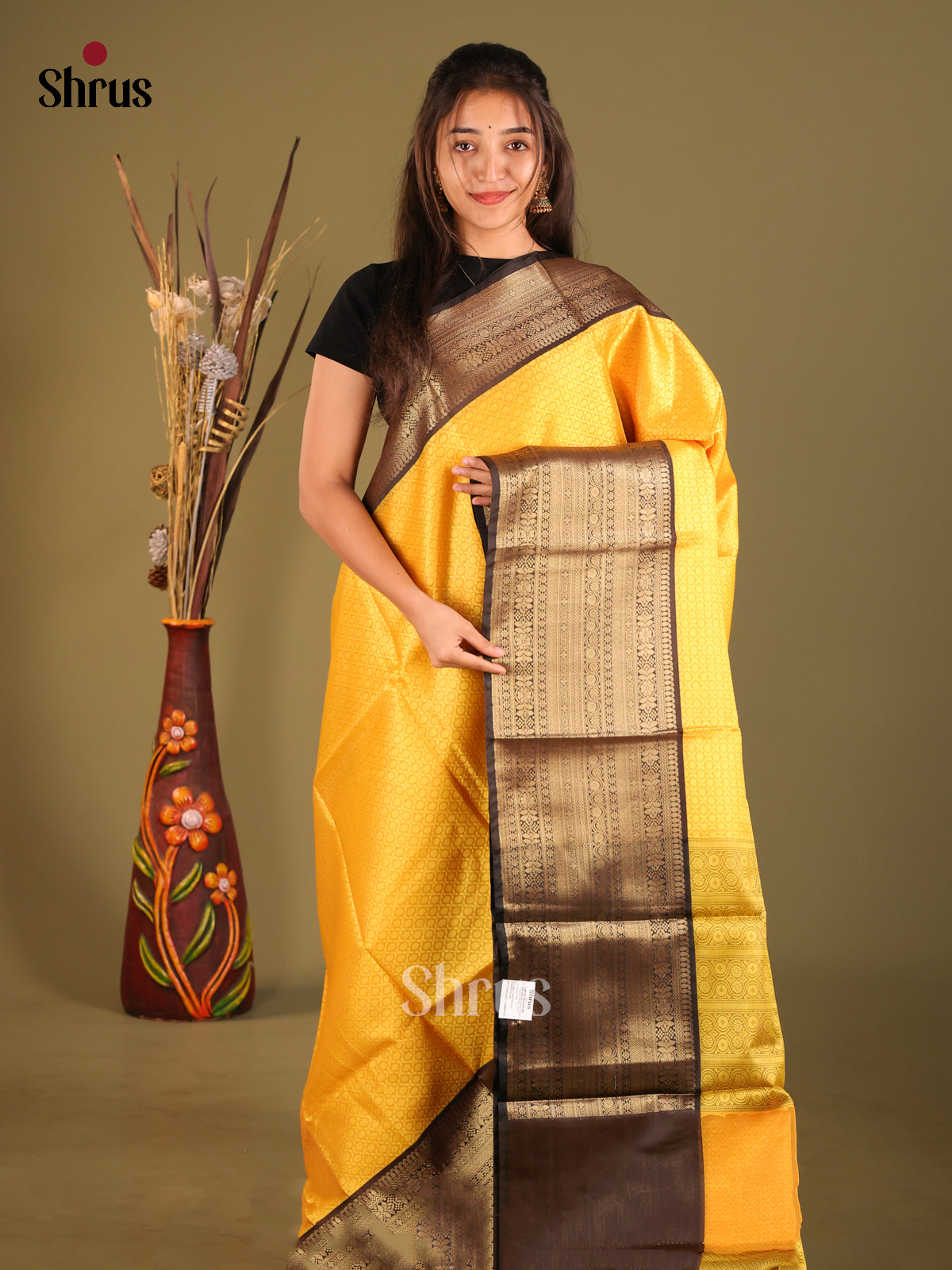 DHS11631 - Tanchoi Saree