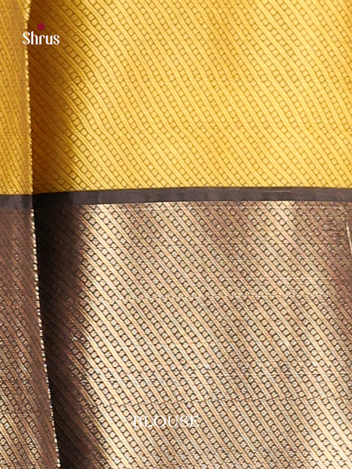 DHS11631 - Tanchoi Saree