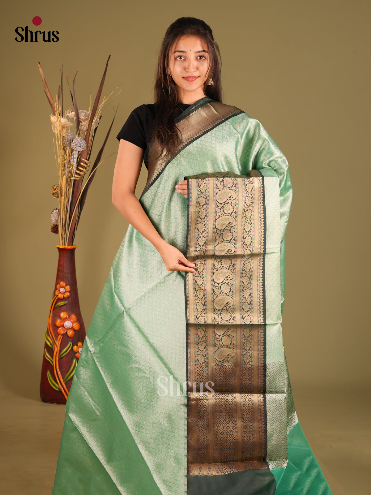 DHS11634 - Tanchoi Saree