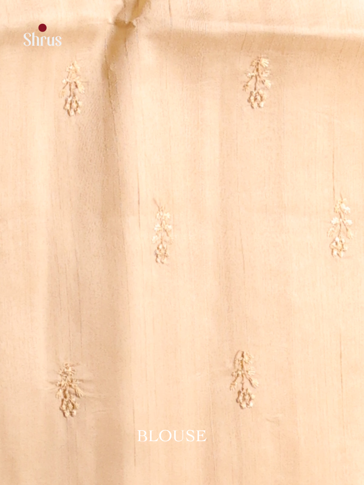 Cream - Semi Rawsilk Saree