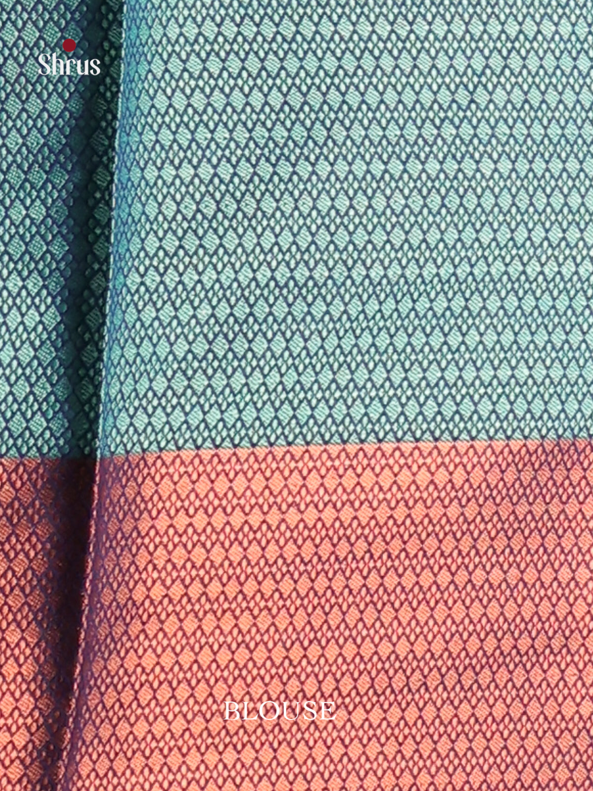 DHS11844 - Tanchoi Saree