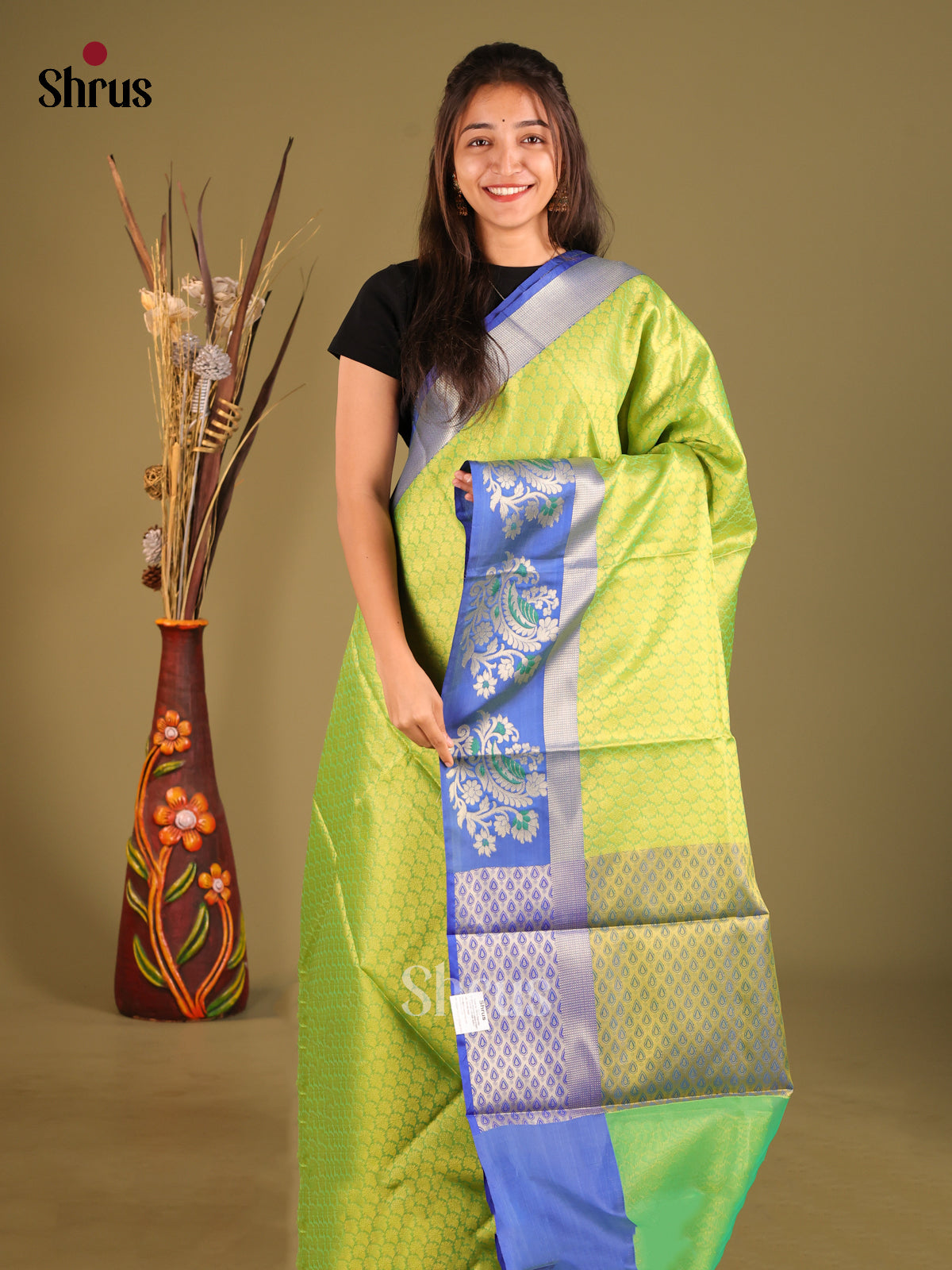 DHS11855 - Tanchoi Saree