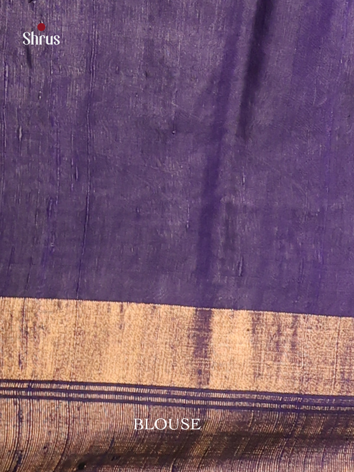 Stunning Red Raw Silk Saree with Blue Zari Border