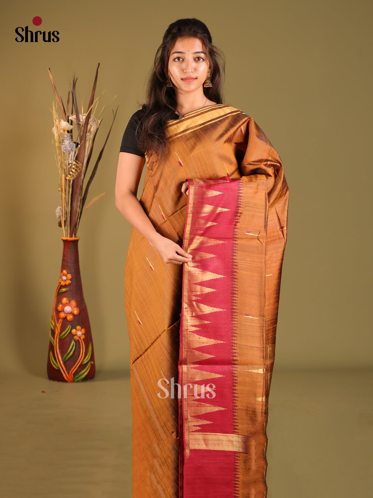 Brown & Maroon - Raw Silk Saree
