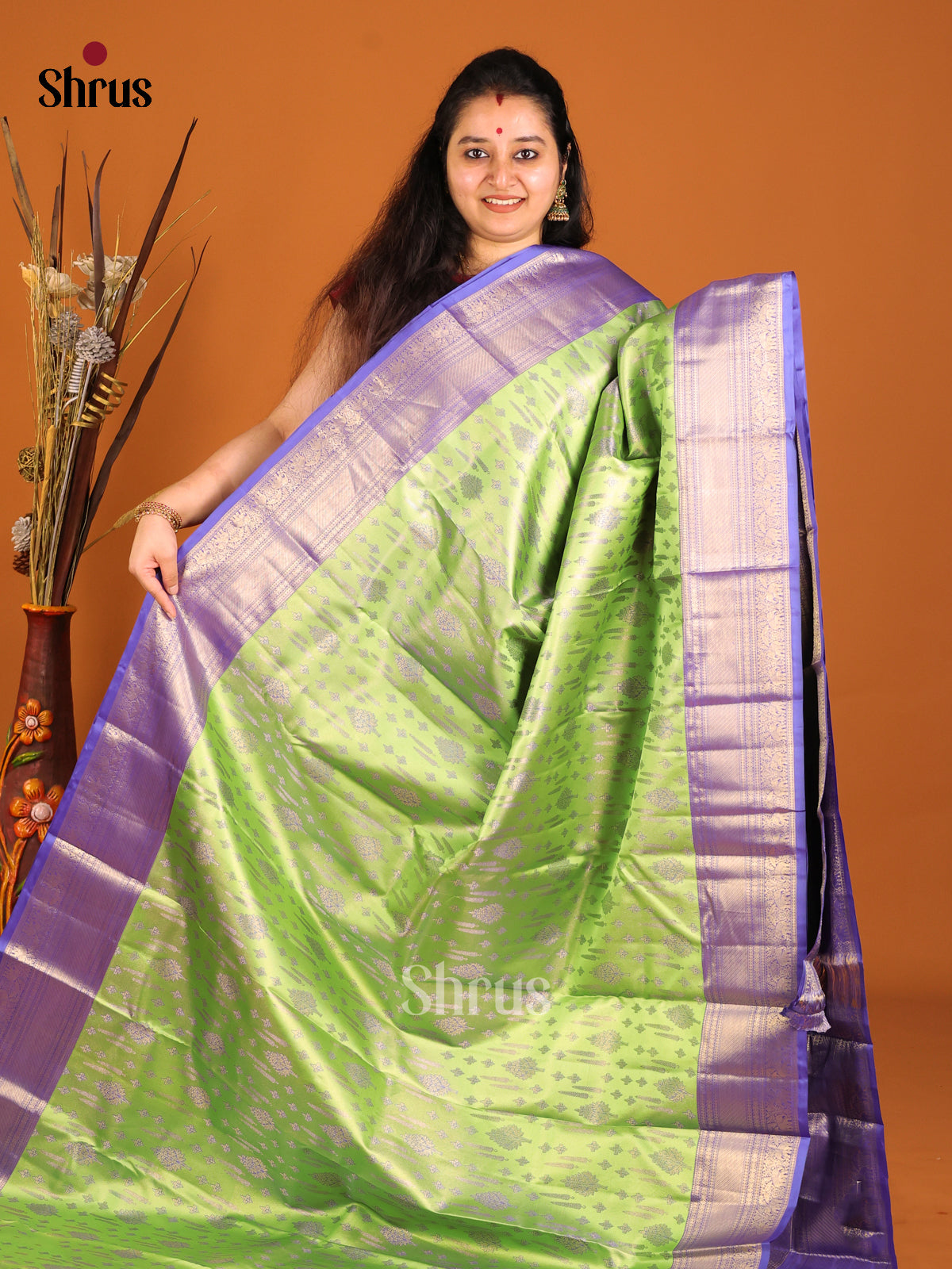 Light Green & Blue Kanchipuram silk saree with rich traditional zari border -1