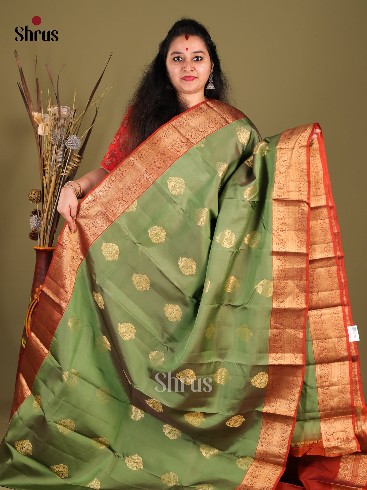 DHS14047-Kanchipuram-halfpure -1