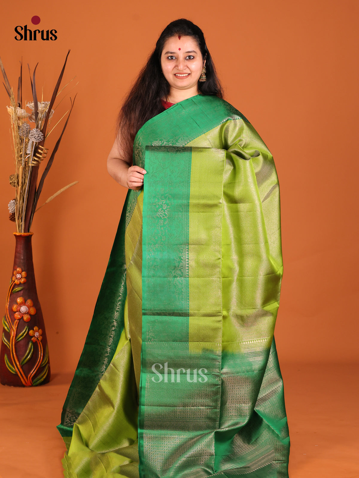 Serene Light Green Soft Silk Saree with zari brocade & Green Pallu