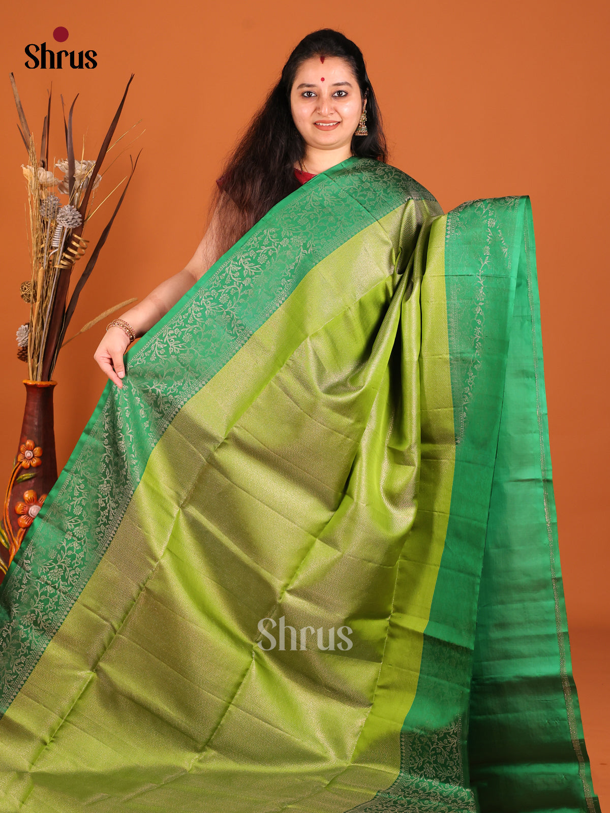 Serene Light Green Soft Silk Saree with zari brocade & Green Pallu