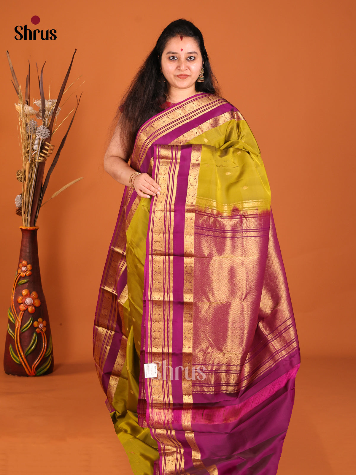 DHS16154 - Kanchipuram-halfpure Saree - Shop on Shrus.com