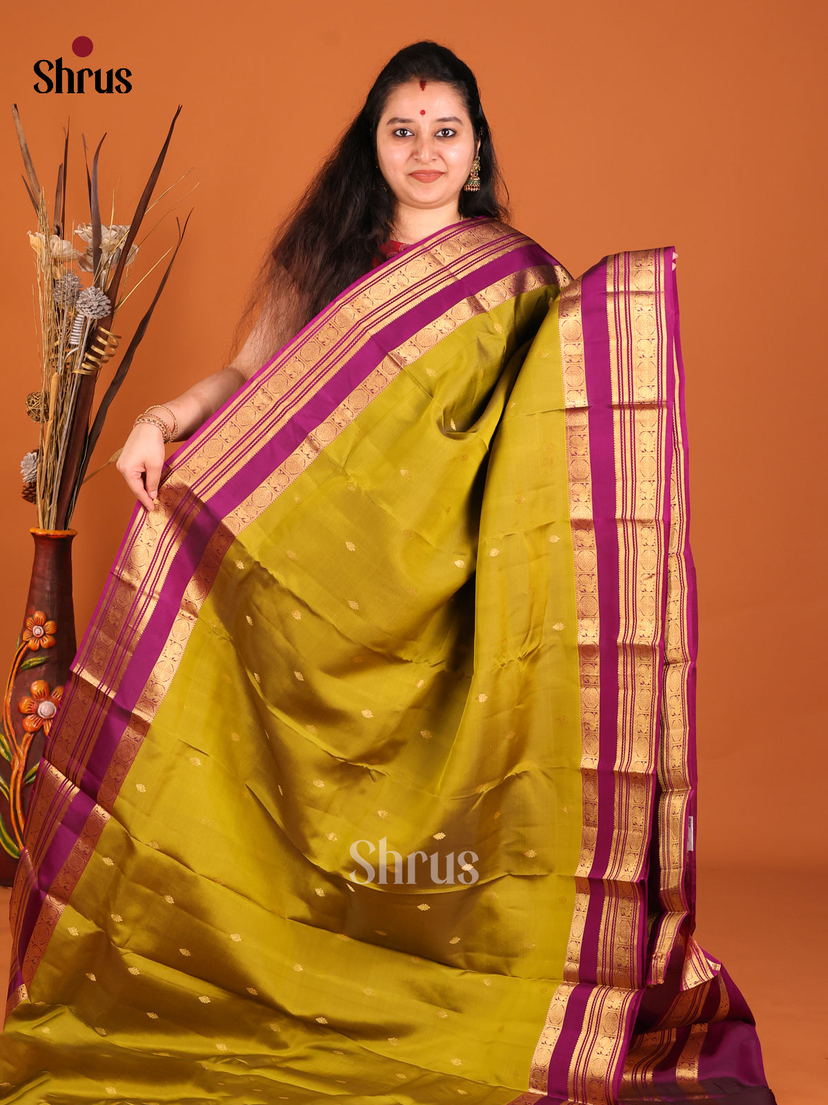 DHS16154 - Kanchipuram-halfpure Saree - Shop on Shrus.com