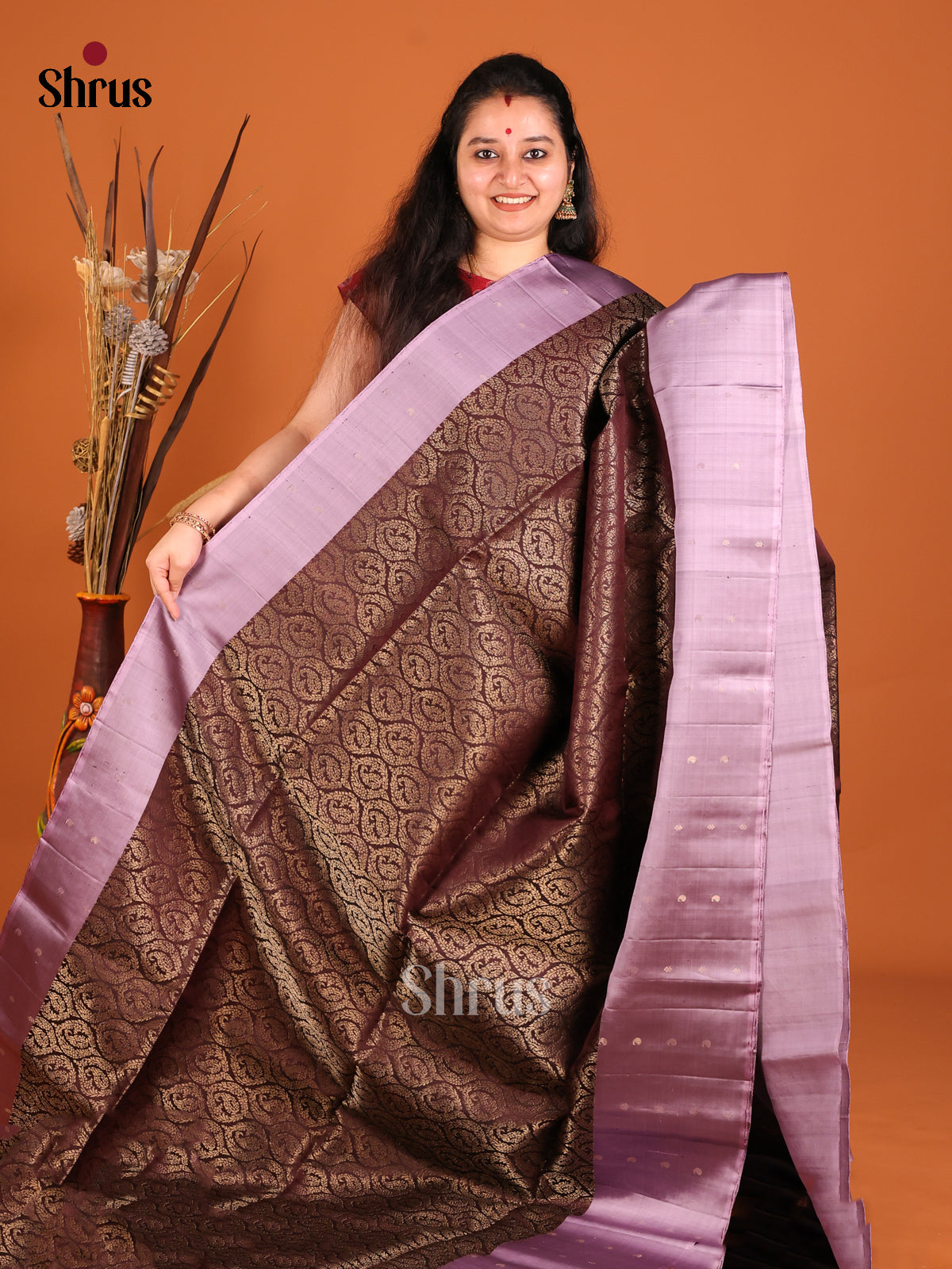 Timeless Brown Soft Silk Saree with paisleys zari brocade & Lavender Border -1