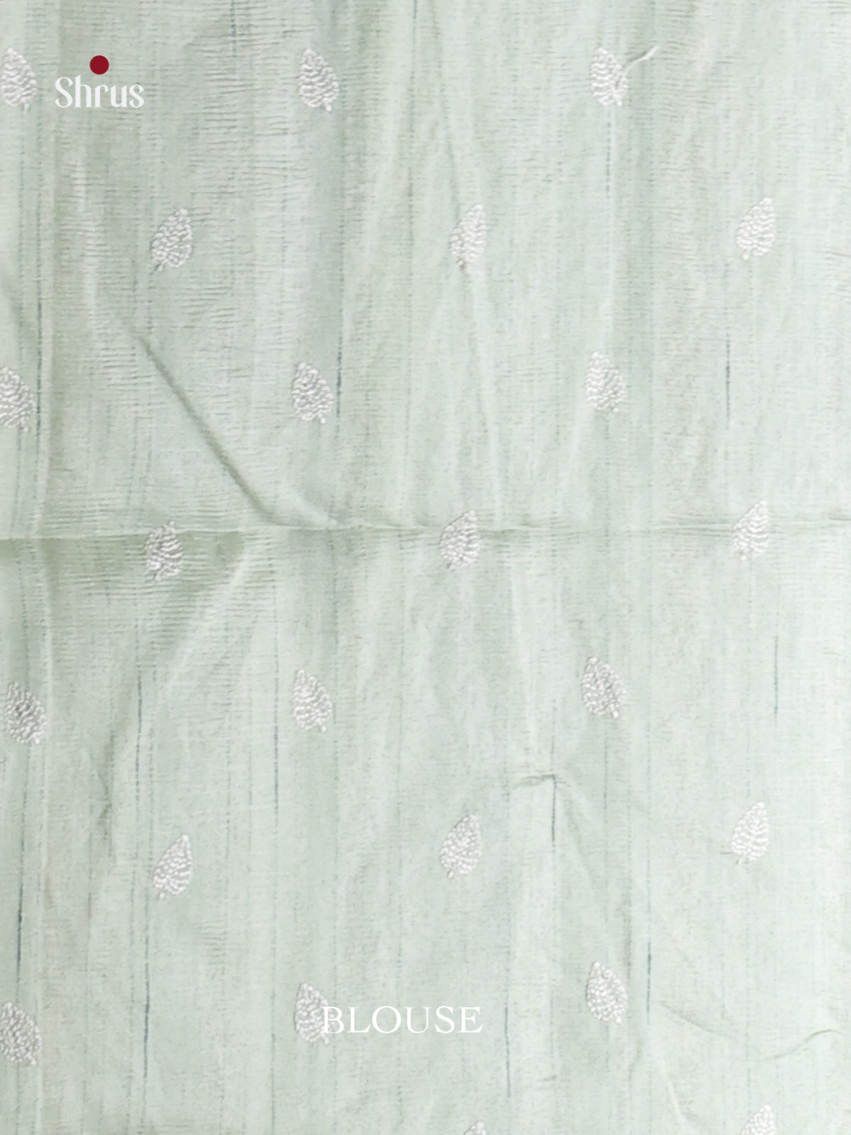 Mild Green - Semi Rawsilk Saree - Shop on Shrus.com