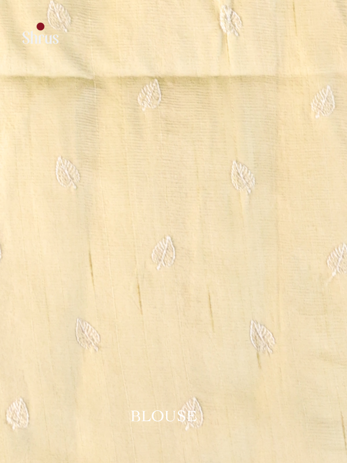 Pastel Green- Semi Rawsilk Saree - Shop on Shrus.com