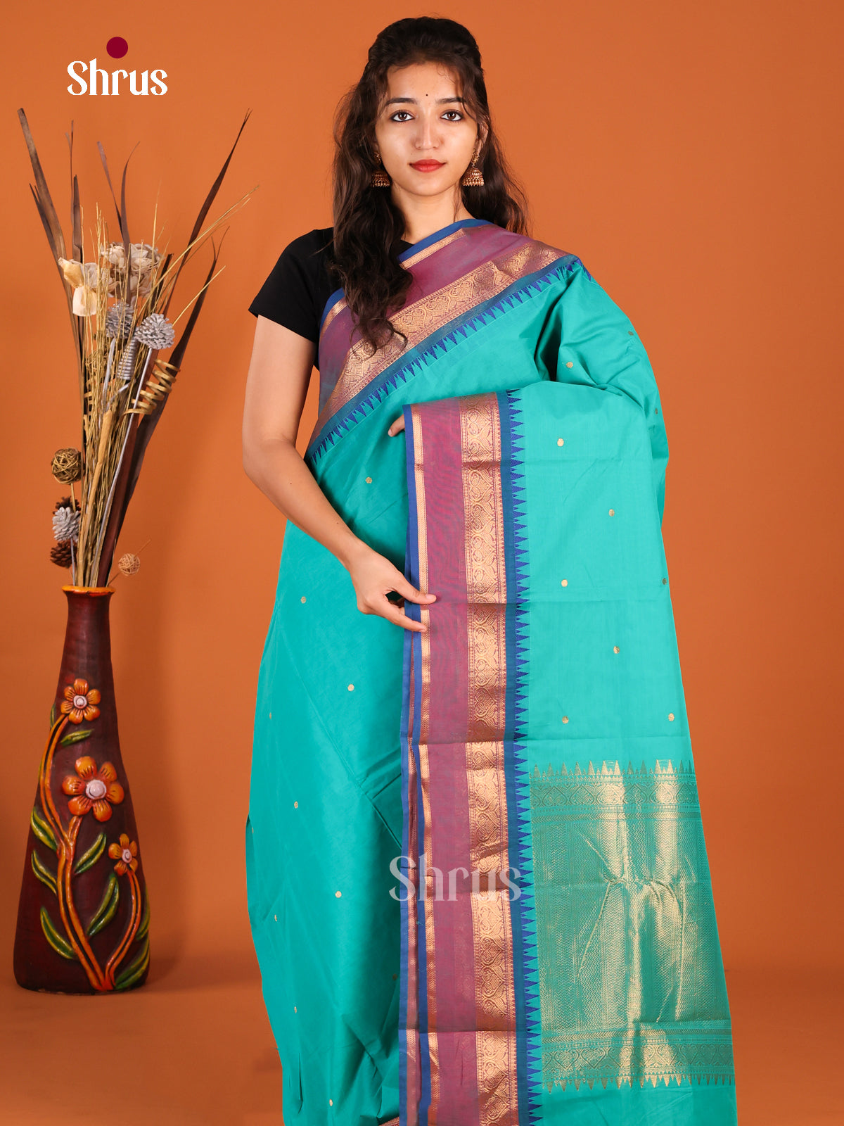 Sky Blue & Blue - Chettinad Cotton Saree