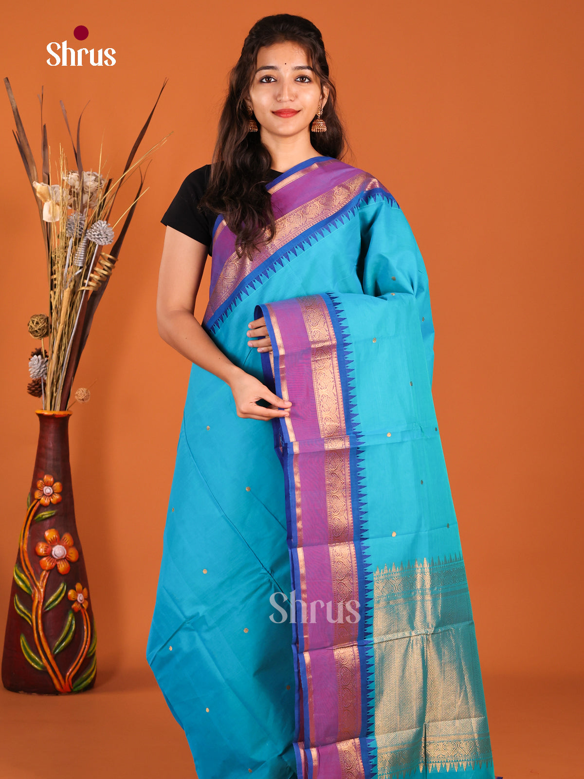 Sky Blue & Blue - Chettinad Cotton Saree