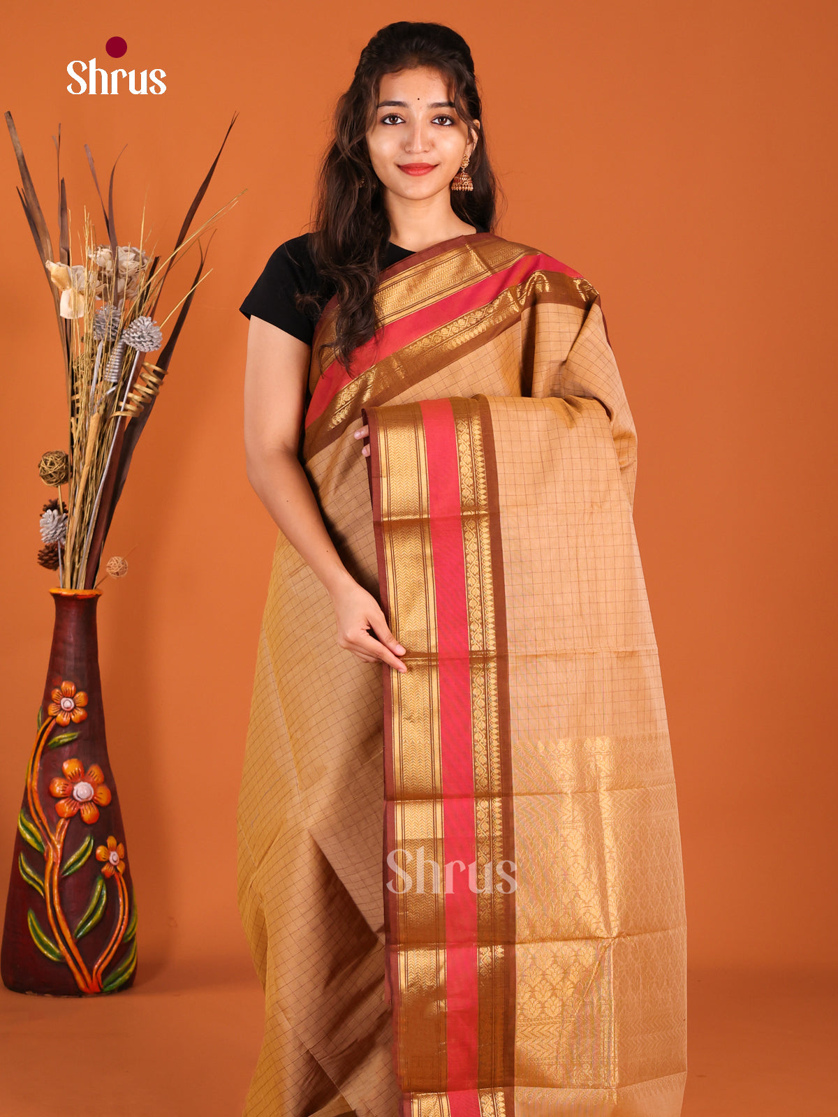 Beige & Brown - Chettinad Cotton Saree