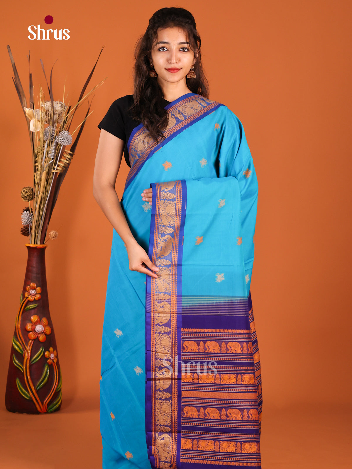 Sky Blue & Blue - Chettinad Cotton Saree