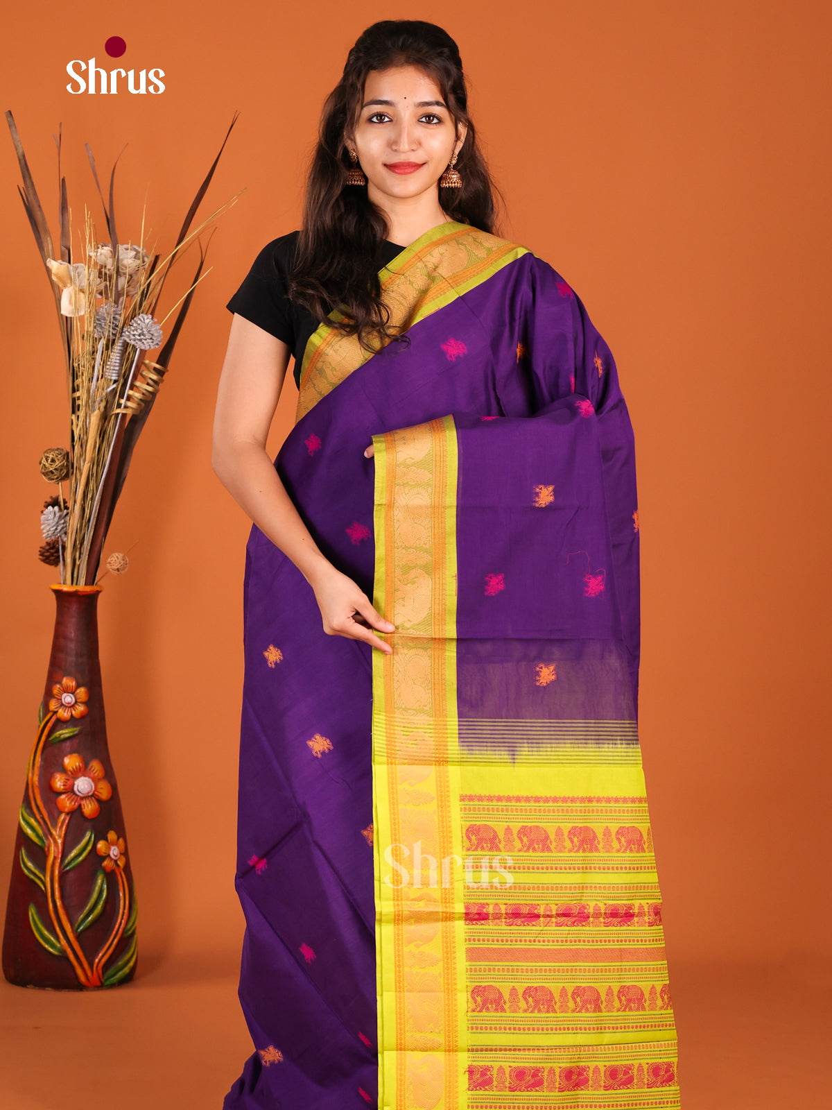 Violet & Light Green - Chettinad Cotton Saree
