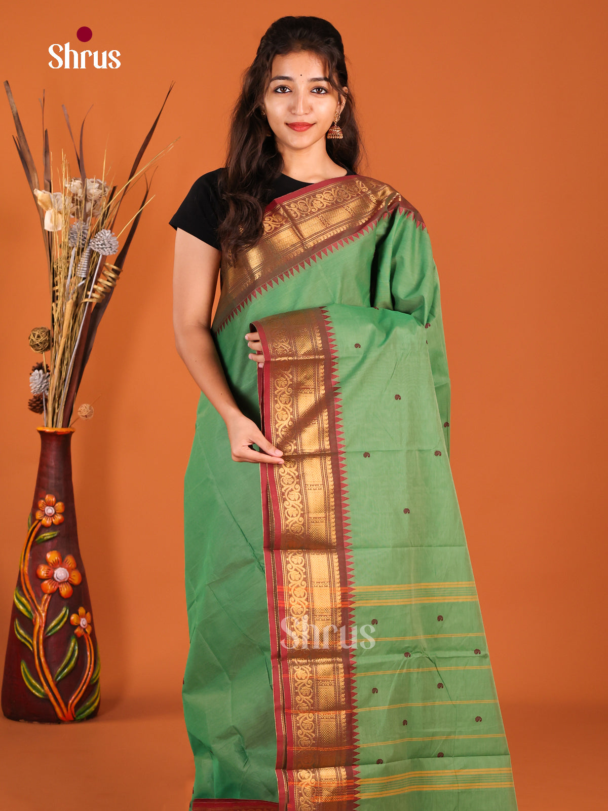 Green & Maroon - Chettinad Cotton Saree