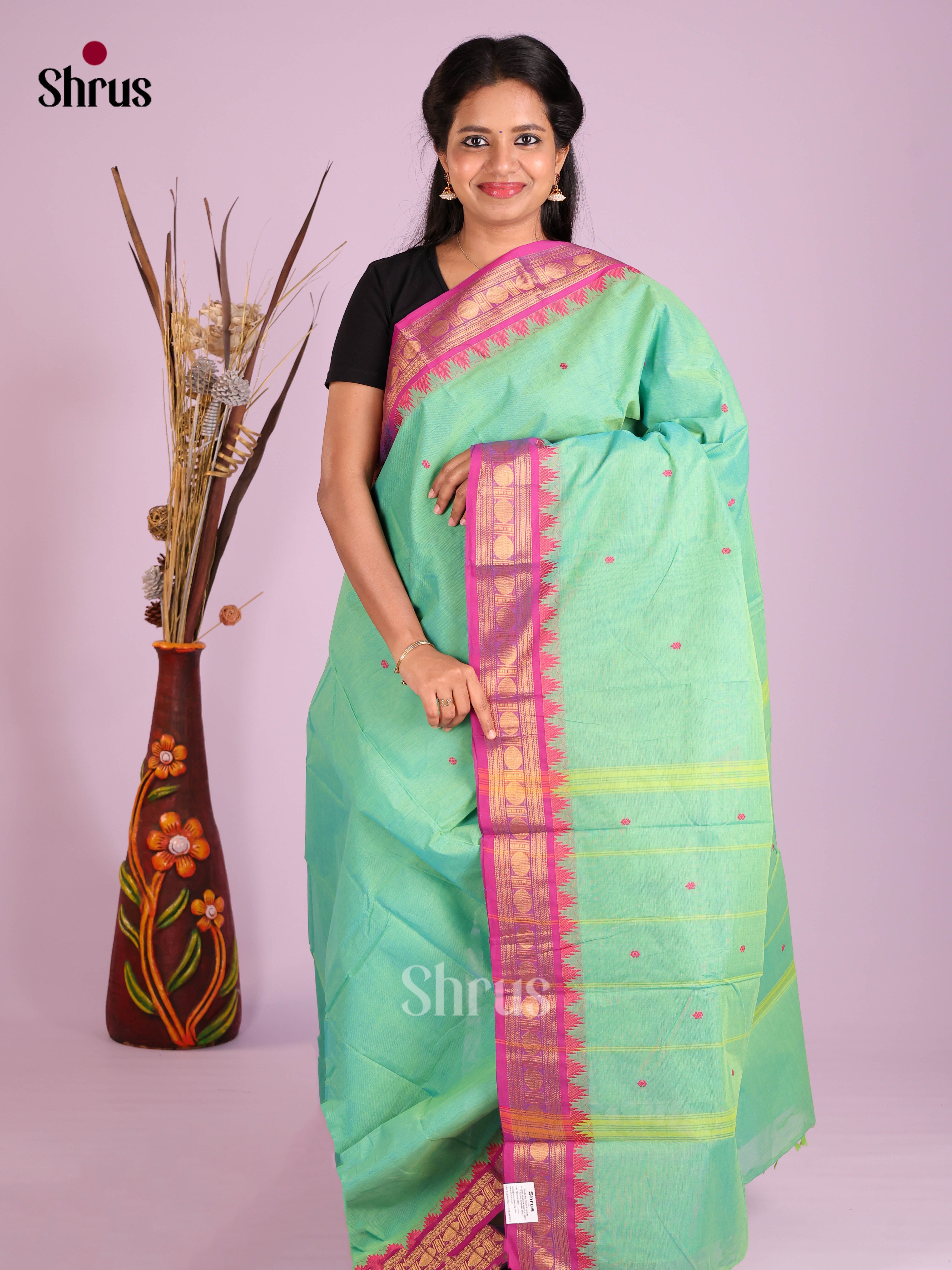 Pastel Green & Purple - Chettinad Cotton Saree