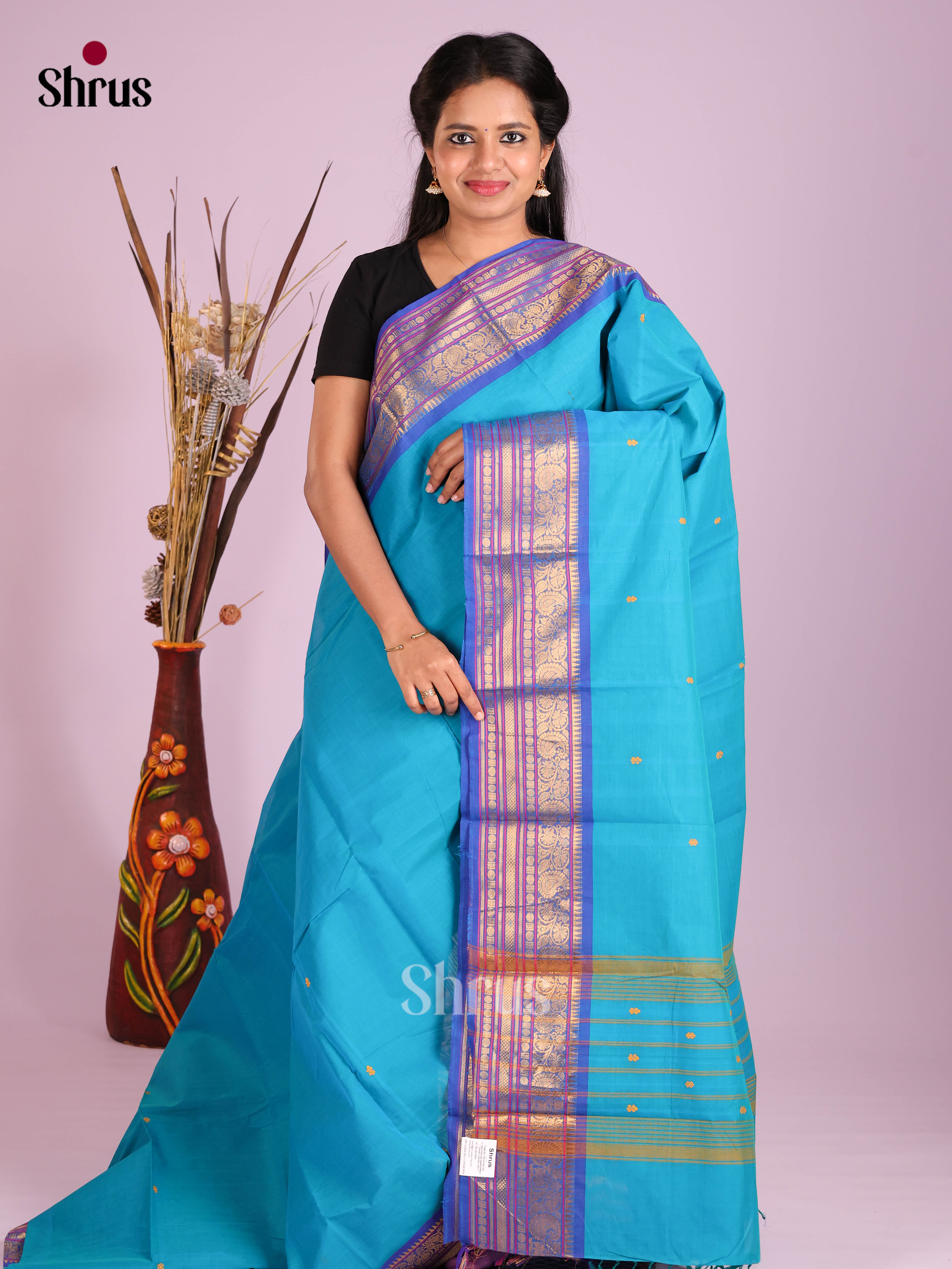 Light Blue & Blue- Chettinad Cotton Saree