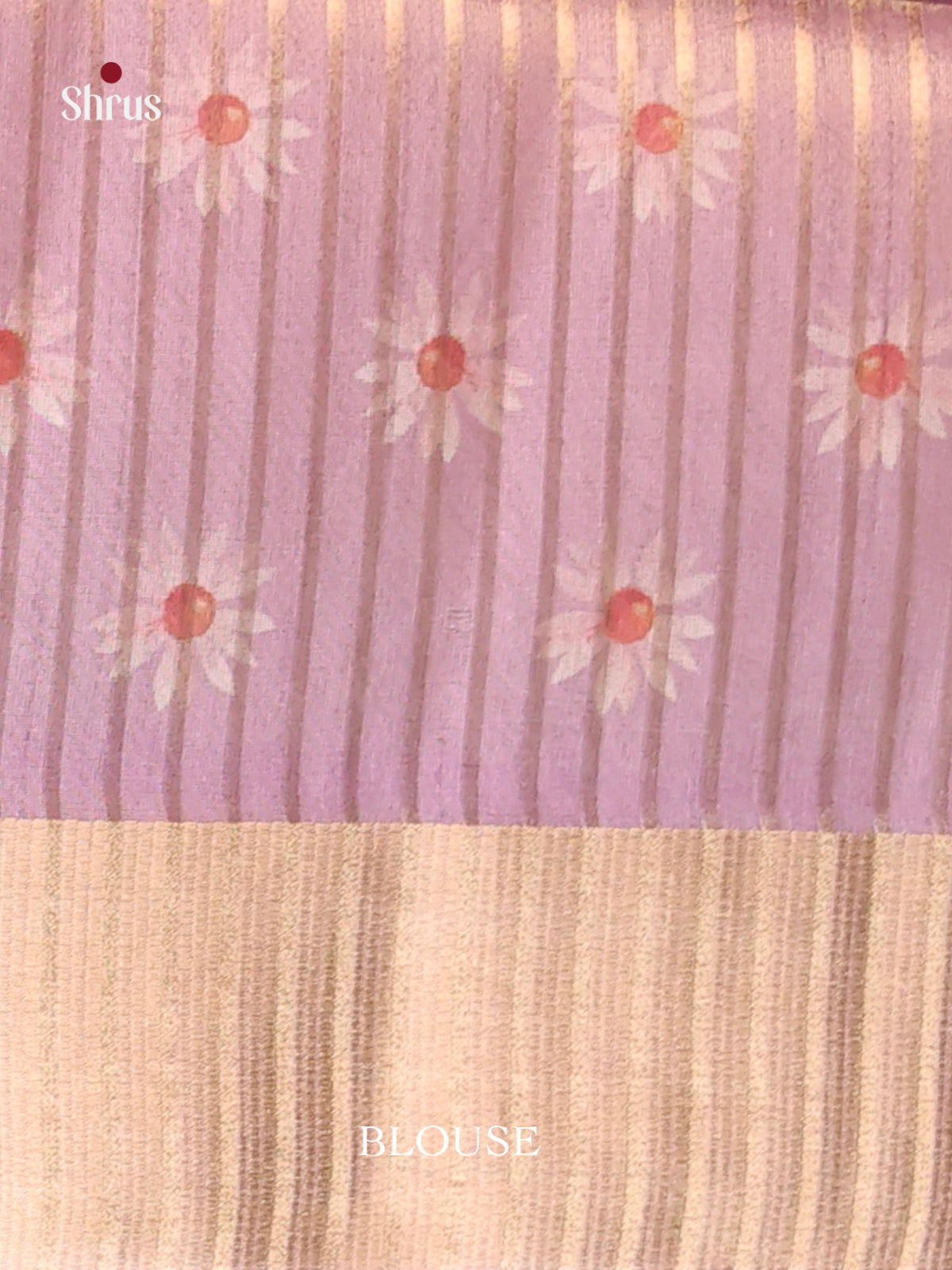 Cream - Semi Organza Saree