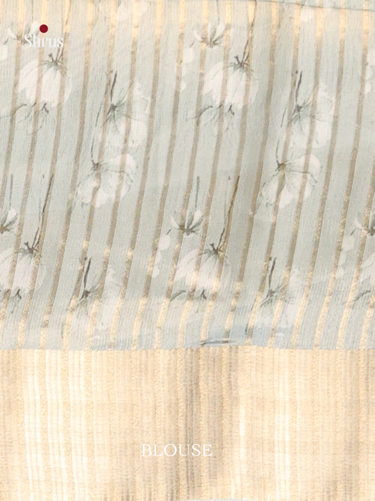 Pastel green - Semi Organza Saree