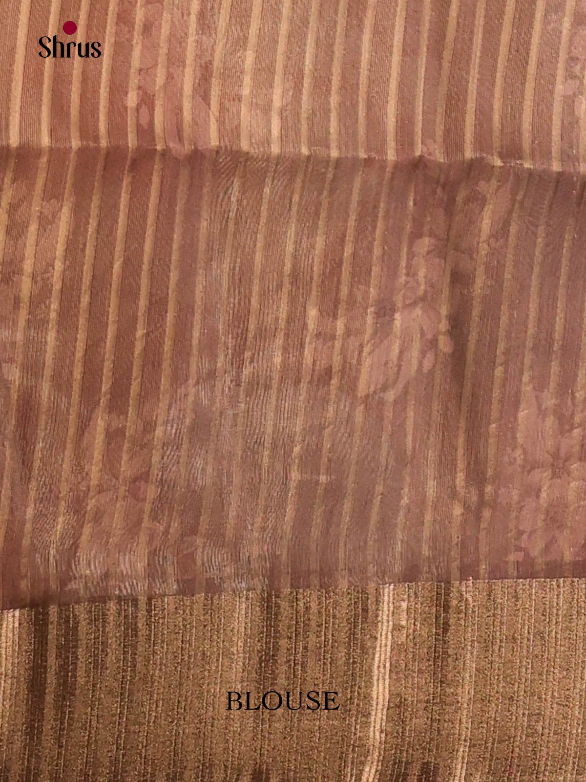 Cream- Semi Organza Saree - Shop on Shrus.com